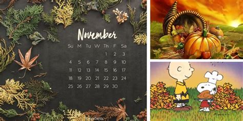 how many day until november 17|countdown to november 17.